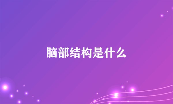脑部结构是什么