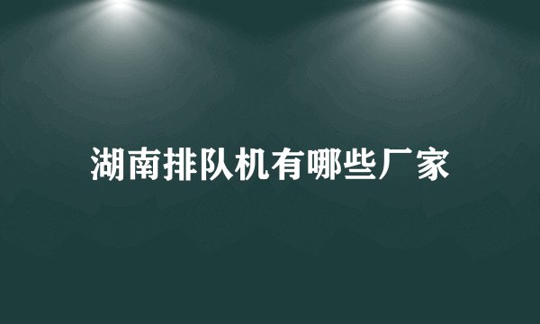 湖南排队机有哪些厂家