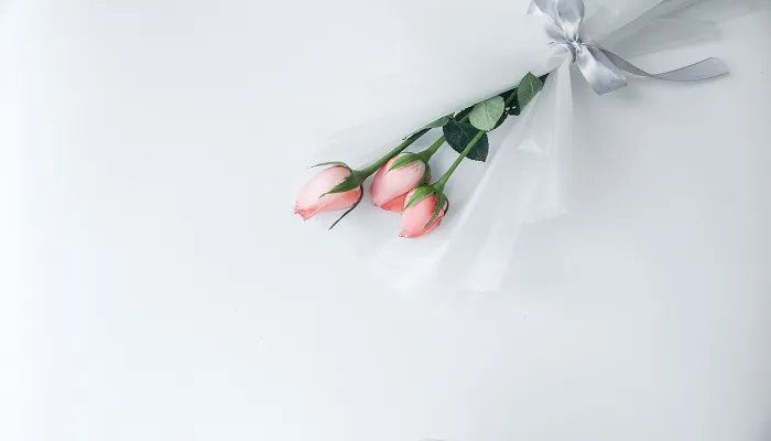 2朵玫瑰花代表什么意思 送10朵玫瑰花代表什么意思