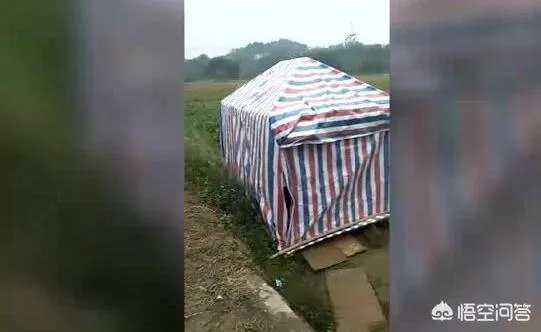 广西九旬老人病重住大棚，镇政府：当地忌讳老人在女儿家过世，你怎么看？