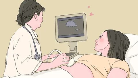 孕妇能否吃枸杞