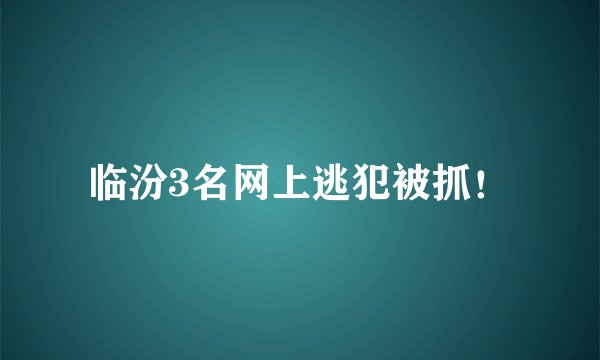 临汾3名网上逃犯被抓！
