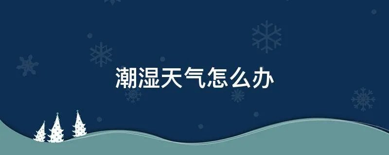 潮湿天气怎么办