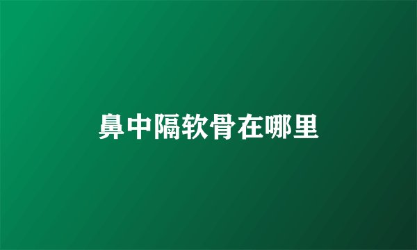 鼻中隔软骨在哪里