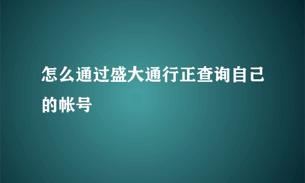 怎么通过盛大通行正查询自己的帐号