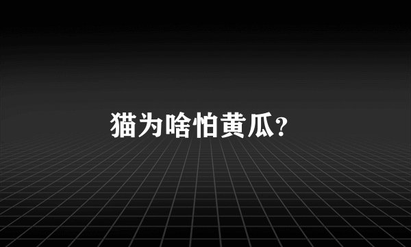 猫为啥怕黄瓜？
