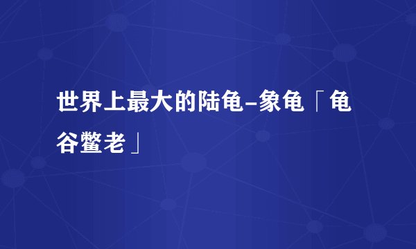 世界上最大的陆龟-象龟「龟谷鳖老」