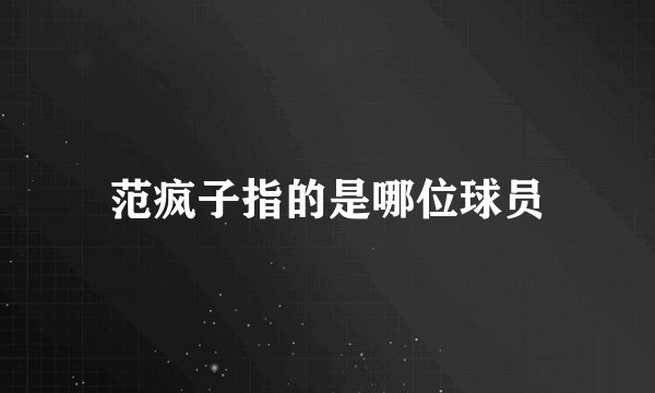 范疯子指的是哪位球员
