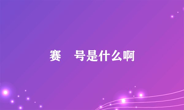 赛尓号是什么啊