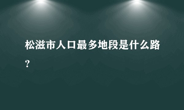 松滋市人口最多地段是什么路?