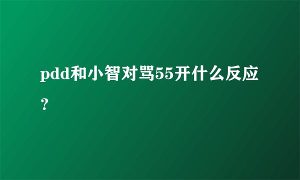 pdd和小智对骂55开什么反应？
