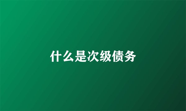 什么是次级债务