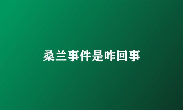 桑兰事件是咋回事