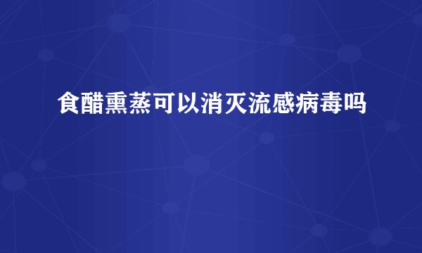 食醋熏蒸可以消灭流感病毒吗