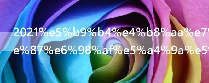 2021年个税税率是多少