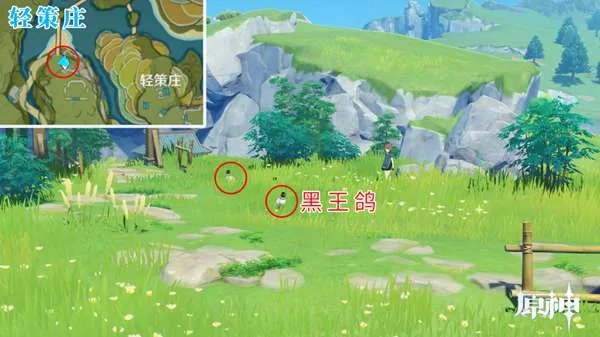 原神四方八方之网可捕捉动物在哪