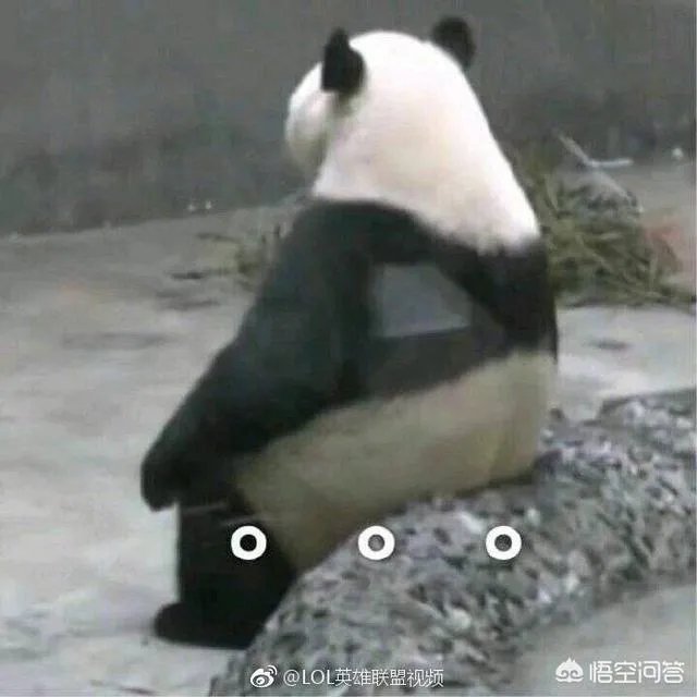 什么游戏加速器最好还一直免费？