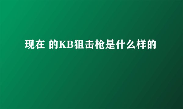 现在 的KB狙击枪是什么样的