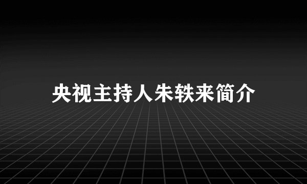央视主持人朱轶来简介