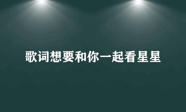 歌词想要和你一起看星星