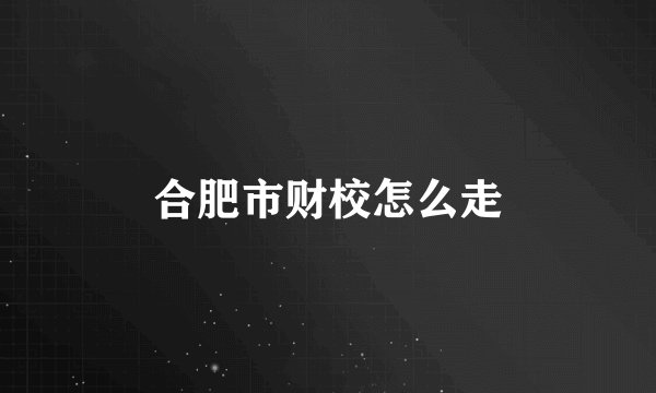 合肥市财校怎么走