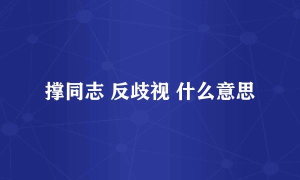 撑同志 反歧视 什么意思