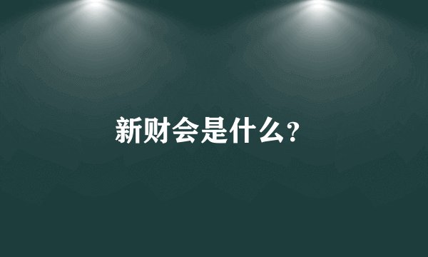 新财会是什么？