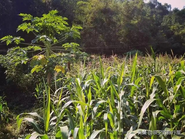 湖南:国庆高速小客车免费通行,预判峰值日将出现在长假首日, 你怎么看?