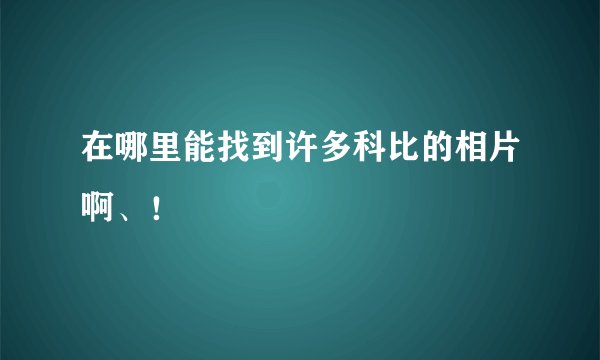 在哪里能找到许多科比的相片啊、！