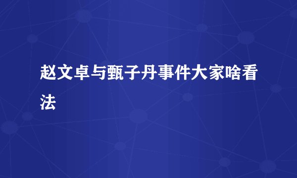赵文卓与甄子丹事件大家啥看法