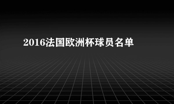 2016法国欧洲杯球员名单