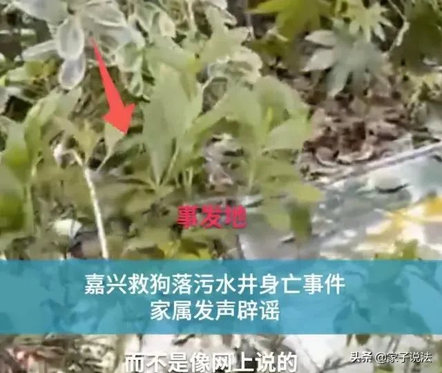 浙江女子喊老公下污水井救宠物狗致其身亡,年仅30岁,怎么看?
