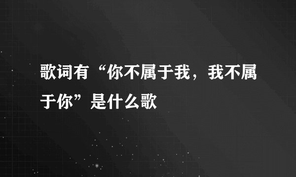 歌词有“你不属于我，我不属于你”是什么歌