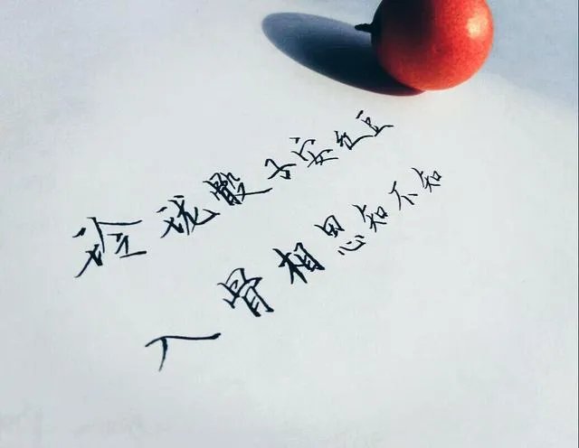 斯人若明月