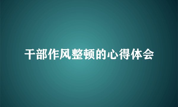干部作风整顿的心得体会