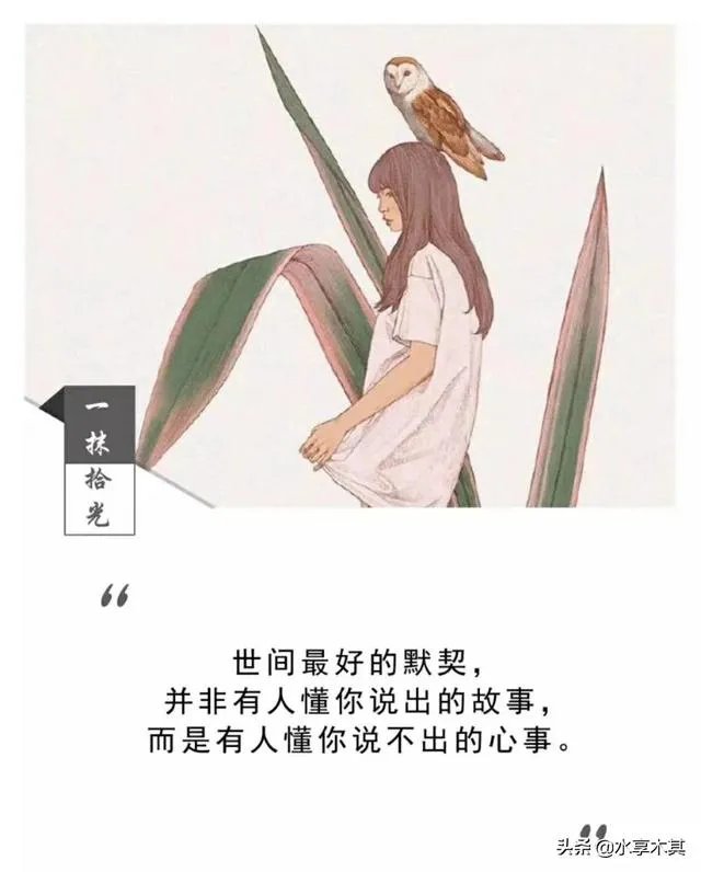 对于最近很火的凯迪拉克追高铁事件怎么看?