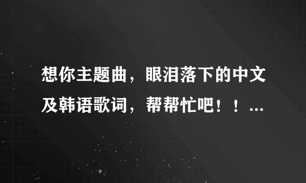 想你主题曲，眼泪落下的中文及韩语歌词，帮帮忙吧！！！！！！谢谢！