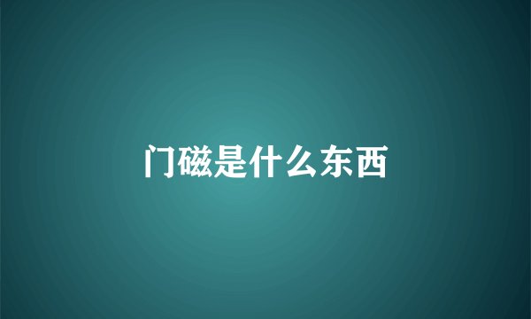 门磁是什么东西