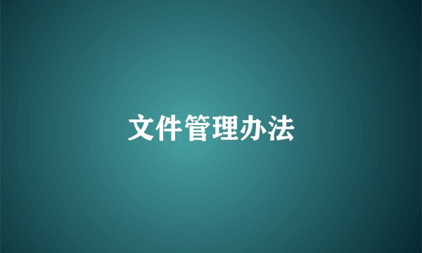 文件管理办法