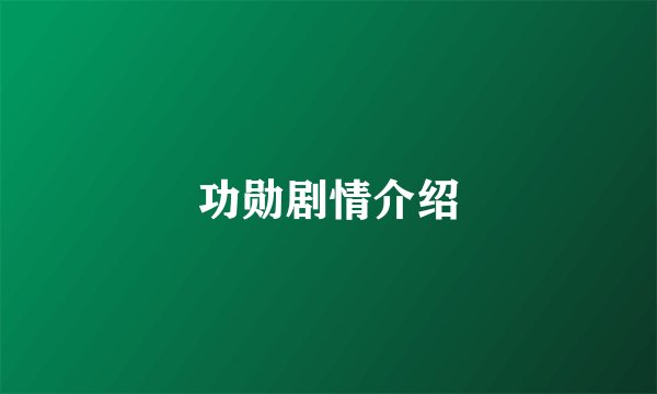 功勋剧情介绍