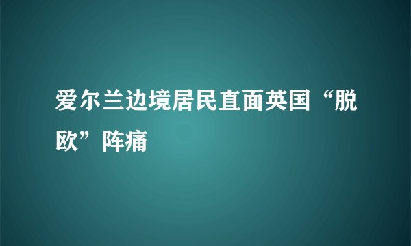 爱尔兰边境居民直面英国“脱欧”阵痛