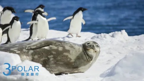 南极游价格大概多少！现在