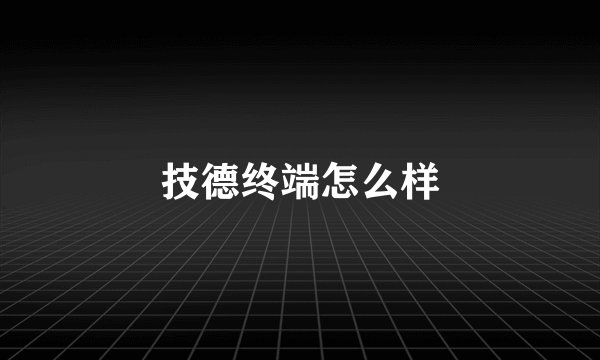 技德终端怎么样