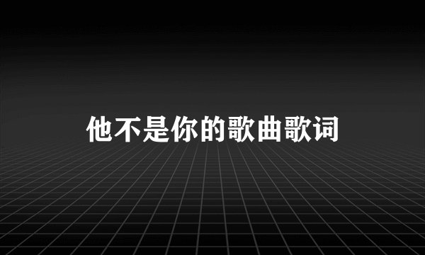 他不是你的歌曲歌词