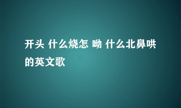 开头 什么烧怎 呦 什么北鼻哄 的英文歌