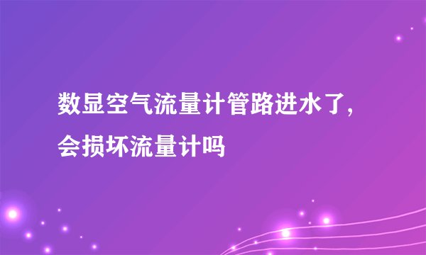 数显空气流量计管路进水了,会损坏流量计吗
