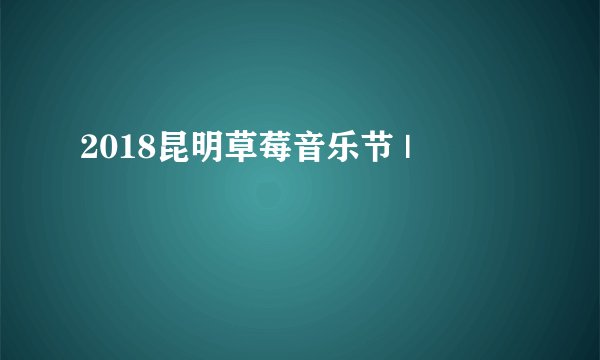2018昆明草莓音乐节 |