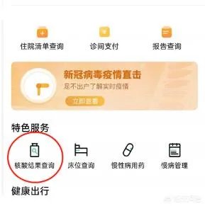 武汉新冠核酸检测结果查询方法?