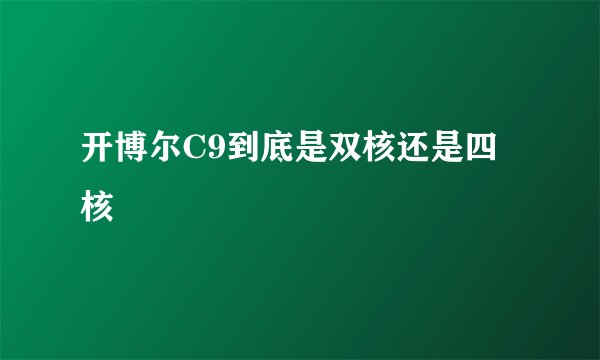 开博尔C9到底是双核还是四核