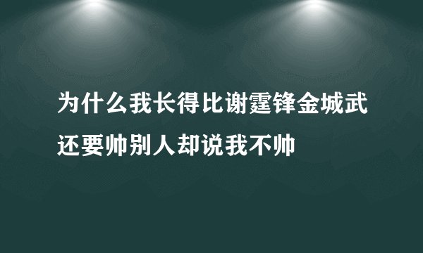 为什么我长得比谢霆锋金城武还要帅别人却说我不帅